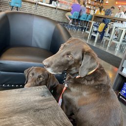 Derby & Mint Derby & Mint