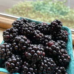 Fresh blackberries