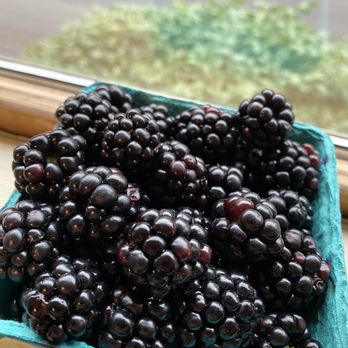 Sowa Open Market - Fresh blackberries - Festivals Near Me - Boston, Massachusetts
