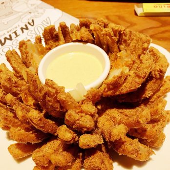 Outback Steakhouse - Bloomin' Onion - Steakhouses Near Me - Jacksonville, Florida Outback Steakhouse - Bloomin' Onion - Steakhouses Near Me - Jacksonville, Florida