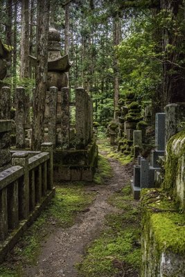 Okunoin Cemetery by null