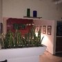 Photo of San Blas Social Club