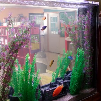 Aquatech Aquarium Service - Aquarium Services Near Me - Culver City, California Aquatech Aquarium Service - Aquarium Services Near Me - Culver City, California