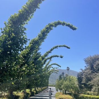 Peju Winery - Wine Tasting Room Near Me - Rutherford, California