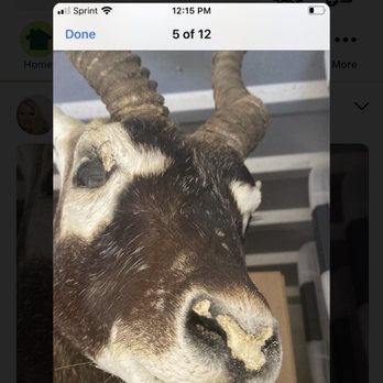 Extra Space Storage - Nose of mount eaten as well as around eyes - Self Storage Near Me - Rowlett, Texas Extra Space Storage - Nose of mount eaten as well as around eyes - Self Storage Near Me - Rowlett, Texas