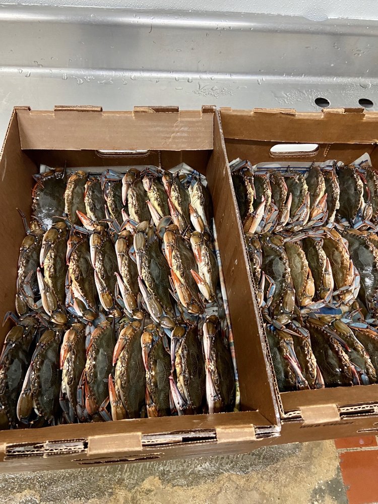 INDEPENDENT SEAFOODS 40 Photos & 24 Reviews Seafood 5300