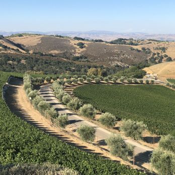 DAOU Vineyards - Wineries Near Me - Paso Robles, California