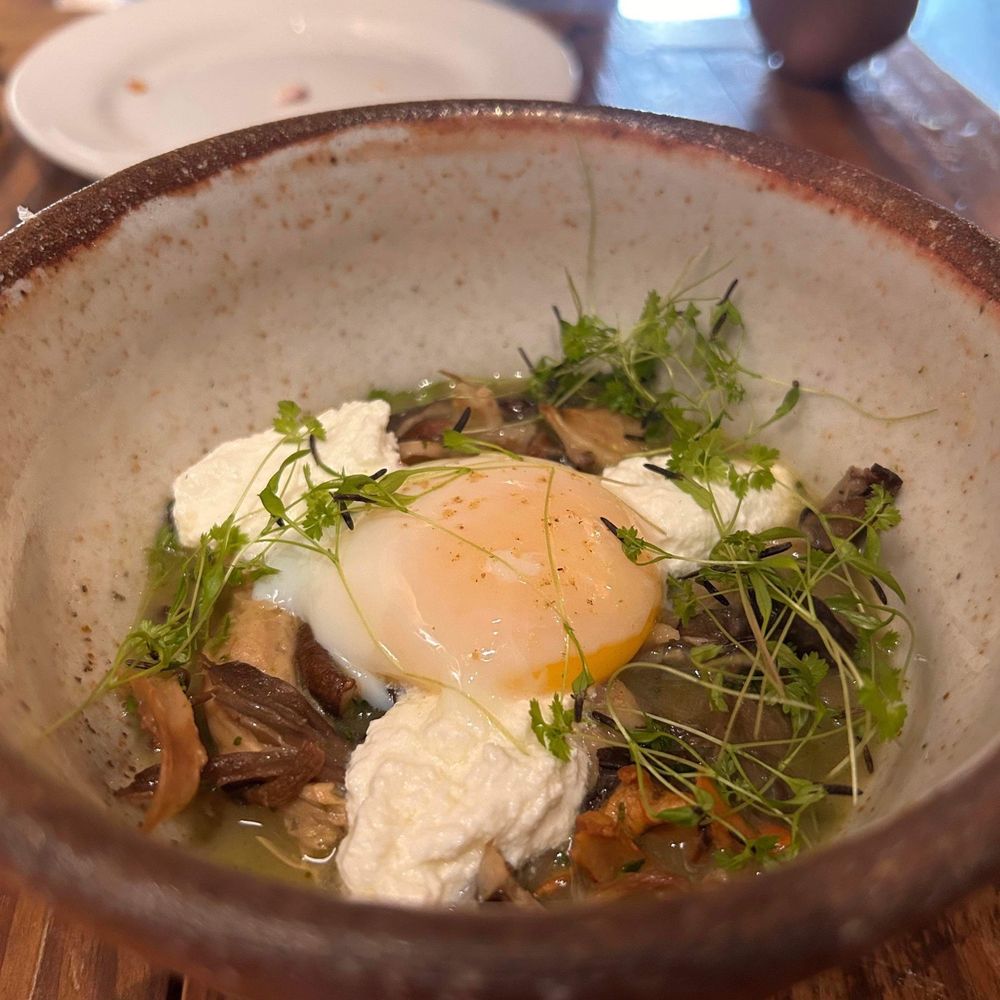 Foraged. A Hyper Seasonal Eatery - Mushroom Stew - New American Near Me - Baltimore, Maryland Foraged. A Hyper Seasonal Eatery - Mushroom Stew - New American Near Me - Baltimore, Maryland