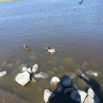Kennedy Park - Parks Near Me - Napa, California