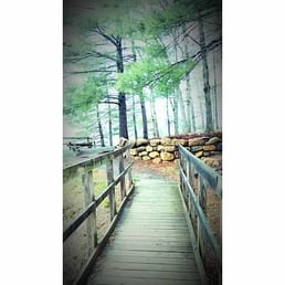 Lakeside at Douthat State Park.