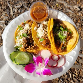 Flor de Pineapple - two tacos on a paper plate - Food Trucks Near Me - Santa Clara, California Flor de Pineapple - two tacos on a paper plate - Food Trucks Near Me - Santa Clara, California