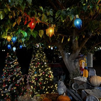 Farm Stand West, Fresh Produce, Pumpkin Patch, Christmas Trees - Christmas tree lot at Farmstand west! - Fruits & Veggies Near Me - Escondido, California Farm Stand West, Fresh Produce, Pumpkin Patch, Christmas Trees - Christmas tree lot at Farmstand west! - Fruits & Veggies Near Me - Escondido, California
