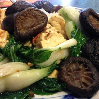 Forum Dynasty - Black mushroom, Bok Choy, and tofu as suggested! - Chinese Near Me - Manteca, California