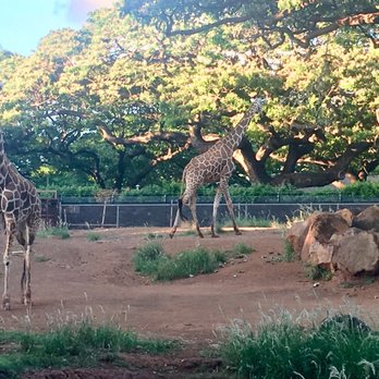 Honolulu Zoo - Zoos Near Me - Honolulu, Hawaii