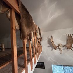 Alaskan Widespread Fishing Adventures