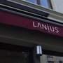 Photo of Lanius