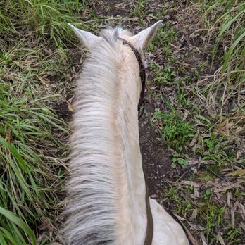 Wailea Horseback Adventure - Horseback Riding Near Me - Hakalau, Hawaii
