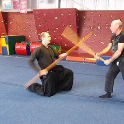 Bujinkan dojo Green bay and Sturgeon bay - Real budo martial arts with weapons training in every class
