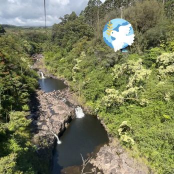The Umauma Experience - Feels like you're flying with the birds - Ziplining Near Me - Hakalau, Hawaii The Umauma Experience - Feels like you're flying with the birds - Ziplining Near Me - Hakalau, Hawaii