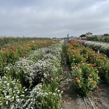 The Farm - Fruits & Veggies Near Me - Salinas, California