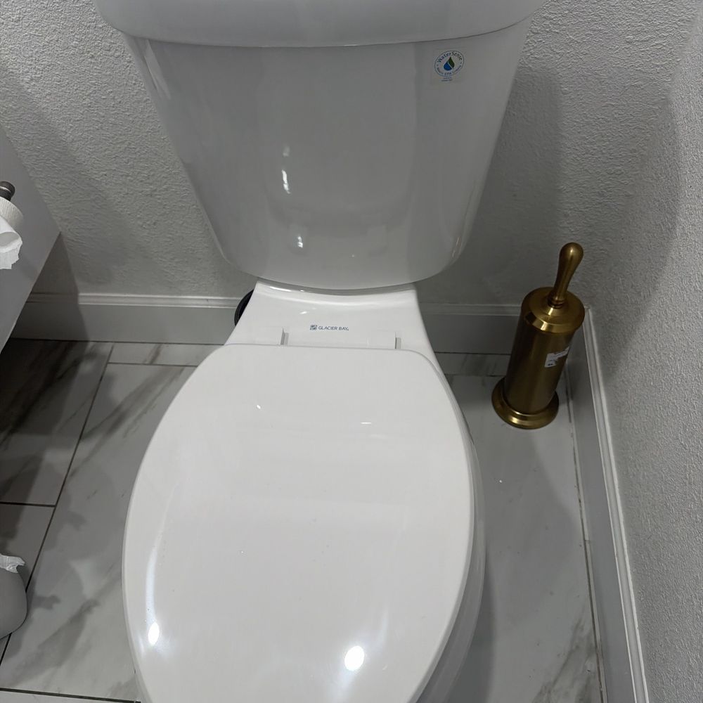 My new toilet My new toilet