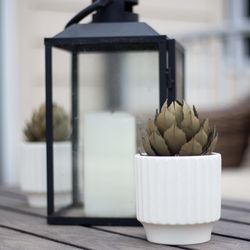 Desert Steel - ature is loaded up with prized symbols that hold an uncommon spot in the heart.