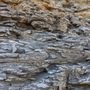 Photo of Ladonia Fossil Park