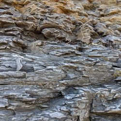 Ladonia Fossil Park - Geologic layers
