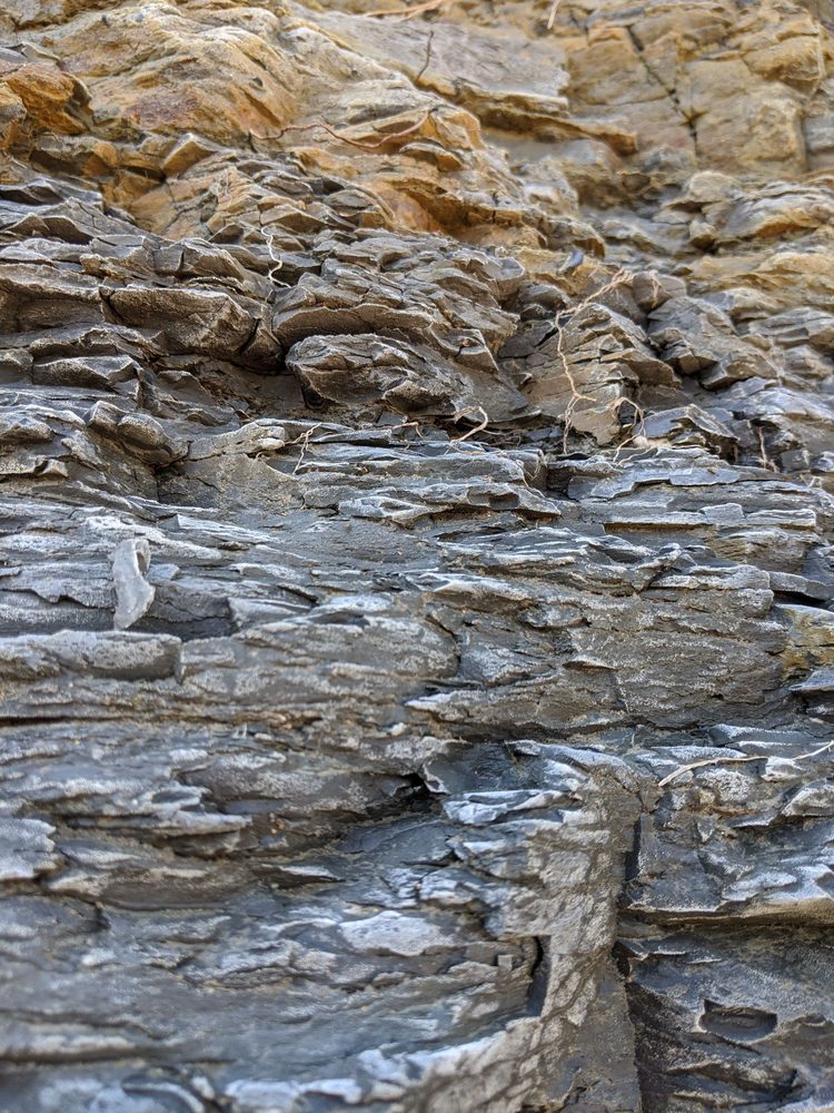 LADONIA FOSSIL PARK Updated October 2024 11 Photos TX Hwy 34