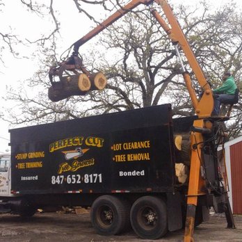 Perfect Cut Tree Service - Log pick up - Tree Services Near Me Perfect Cut Tree Service - Log pick up - Tree Services Near Me