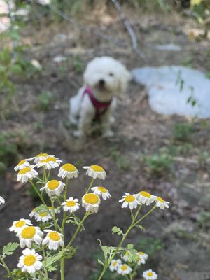 Heart Rock Trail by null