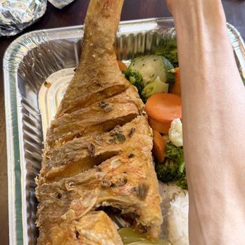 Punto Rojo Cafe - The massive Columbian red snapper s incredibly fresh, crispy n juicy - Cafes Near Me - Glen Cove, New York Punto Rojo Cafe - The massive Columbian red snapper s incredibly fresh, crispy n juicy - Cafes Near Me - Glen Cove, New York