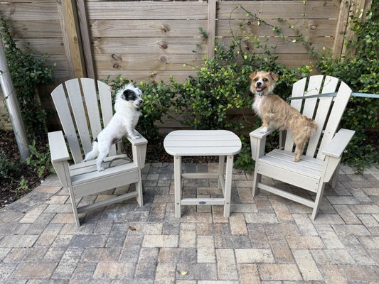 The Salty Donut by null