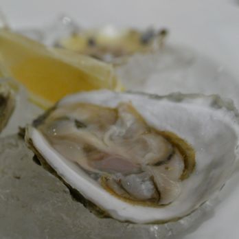 Mendon 64 - Oysters - New American Near Me - Mendon, New York