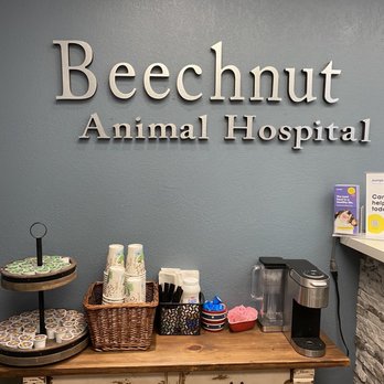 Beechnut Animal Hospital - Inside - Veterinarians Near Me - Houston, Texas