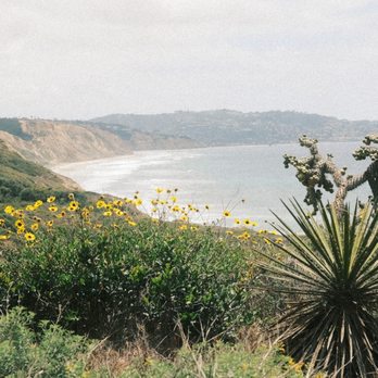 Torrey Pines State Reserve - Parks Near Me - La Jolla, California
