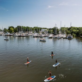 Capital SUP - Annapolis - Paddle through Back Creek at Capital SUP Eastport. - Paddleboarding Near Me - Annapolis, Maryland Capital SUP - Annapolis - Paddle through Back Creek at Capital SUP Eastport. - Paddleboarding Near Me - Annapolis, Maryland