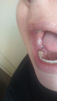 Brush Dental by null