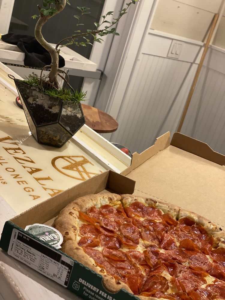Papa Johns Pizza Logo