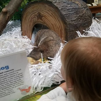Lutz Children's Museum - Chuckles the VIII - Children's Museums Near Me - Manchester, Connecticut