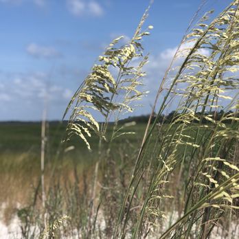 Sea Kayak Georgia - Rafting/Kayaking Near Me - Tybee Island, Georgia