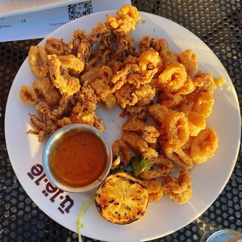 Ulele - Fresh Calamari - New American Near Me - Tampa, Florida Ulele - Fresh Calamari - New American Near Me - Tampa, Florida