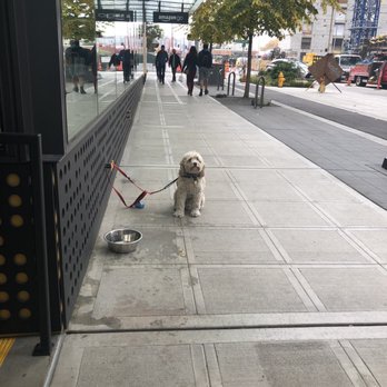 Amazon Go - Convenience Stores Near Me - Seattle, Washington
