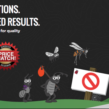 Environmental Pest Control - Pest Control Near Me - Newmarket, Ontario Environmental Pest Control - Pest Control Near Me - Newmarket, Ontario