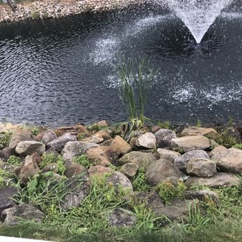 Wide Open Property Maintenance - Weeds - Landscaping Near Me Wide Open Property Maintenance - Weeds - Landscaping Near Me