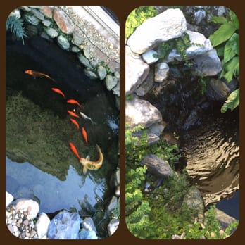 Fishy Dudes - Aquarium Services Near Me - Cutler Bay, Florida Fishy Dudes - Aquarium Services Near Me - Cutler Bay, Florida