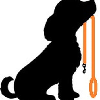 The Orange Leash - Dog Walkers Near Me - West Roxbury, Massachusetts The Orange Leash - Dog Walkers Near Me - West Roxbury, Massachusetts