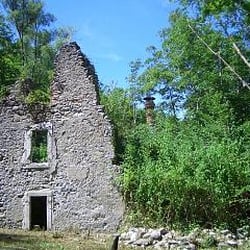 La plâtrière - L'ancienne usine envahie par la végétation