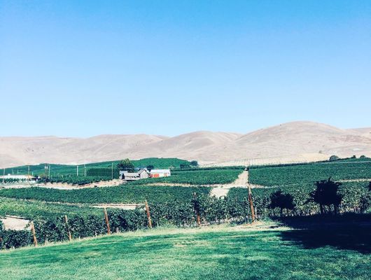 Treveri Cellars by null