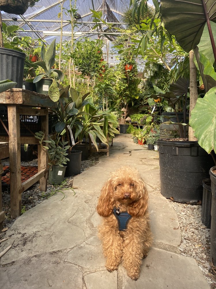 BOUNTIFUL GARDENS EWING Updated June 2024 87 Photos & 15 Reviews